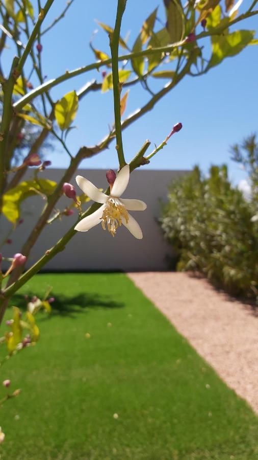 Villa Home Holiday A Cala Rossa ليسي المظهر الخارجي الصورة