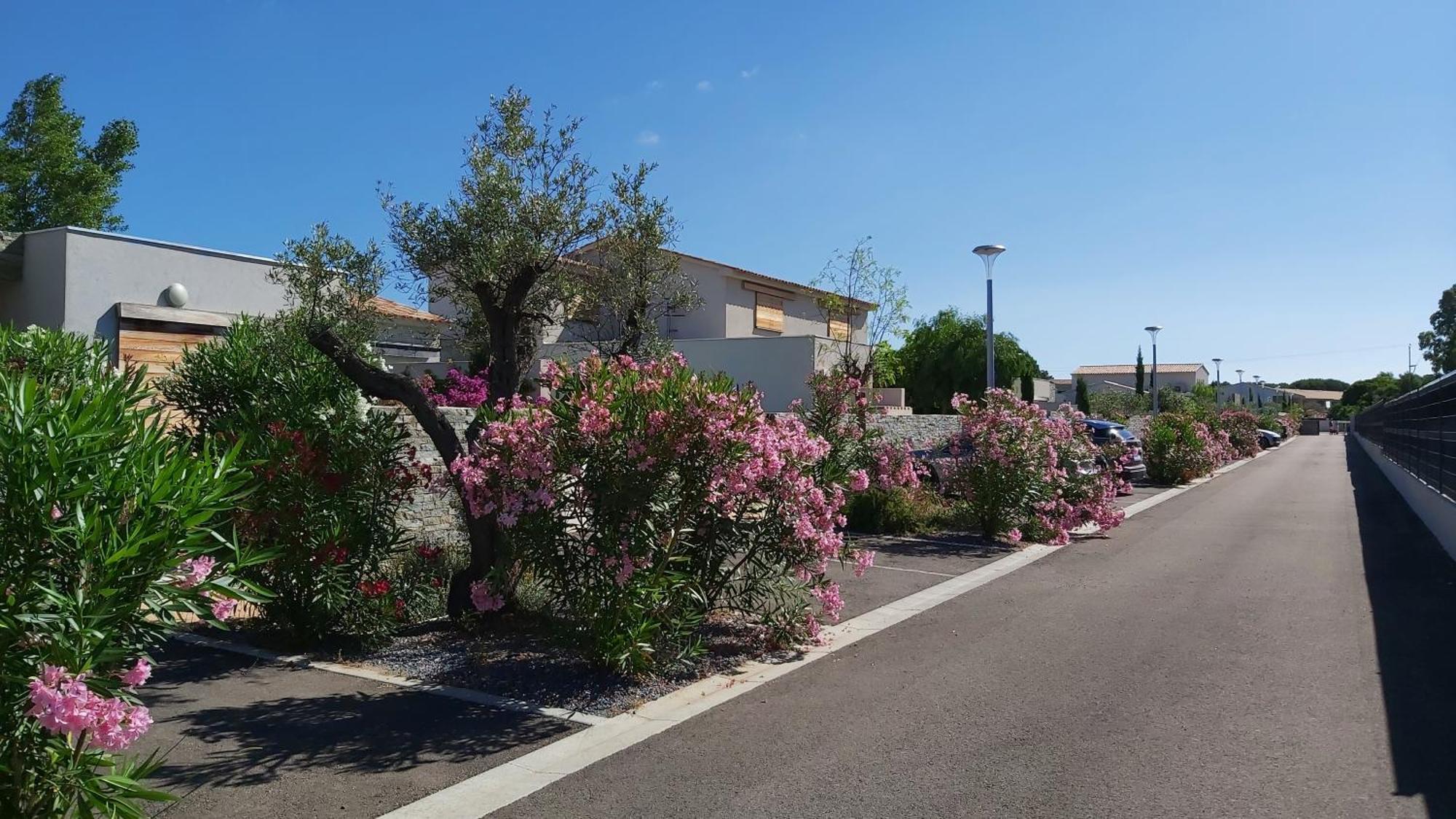 Villa Home Holiday A Cala Rossa ليسي المظهر الخارجي الصورة