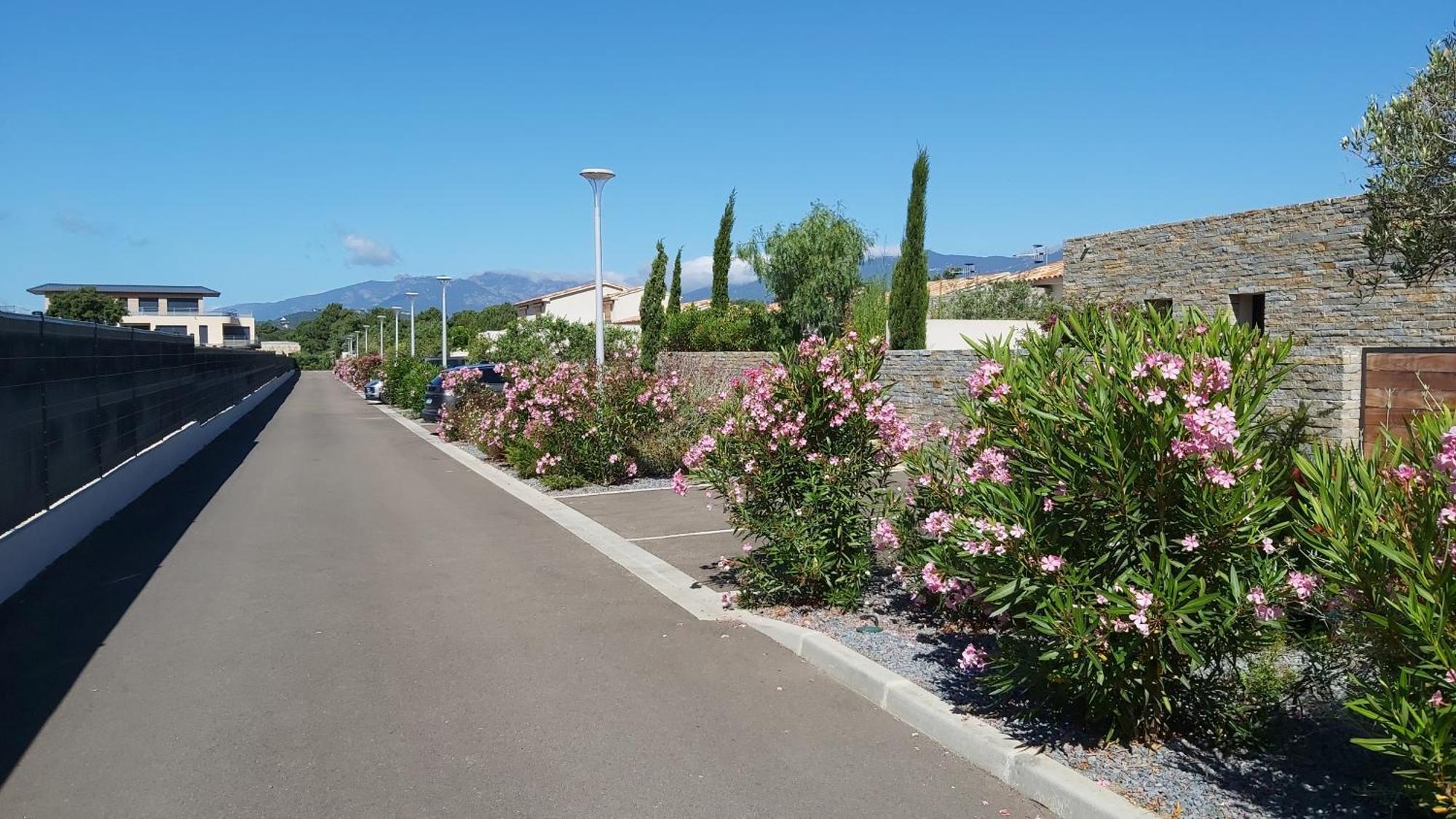 Villa Home Holiday A Cala Rossa ليسي المظهر الخارجي الصورة